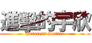 進擊的宇欣 (Princess Sandra)