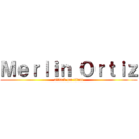 Ｍｅｒｌｉｎ Ｏｒｔｉｚ (attack on titan)