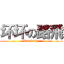 坏坏の路飛 (bad luffy)