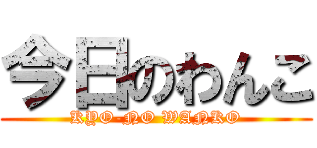 今日のわんこ (KYO-NO WANKO)