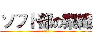 ソフト部の梨織 (川西中学校)