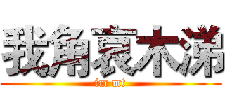 我角哀木涕 (im mt)