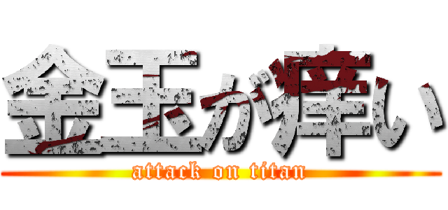 金玉が痒い (attack on titan)