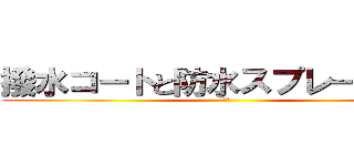撥水コートと防水スプレーの効果 (無しっ)