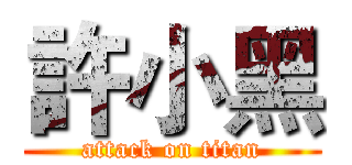 許小黑 (attack on titan)