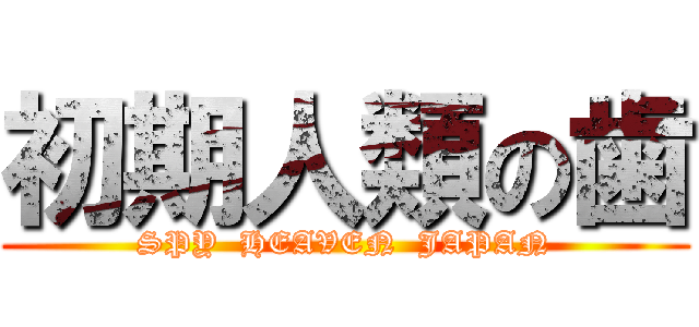 初期人類の歯 (SPY  HEAVEN  JAPAN)