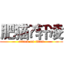 肥猫❤轩凌 (attack on titan)