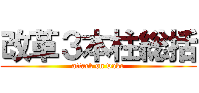 改革３本柱総括 (attack on wako)