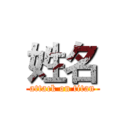 姓名 (attack on titan)