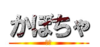 かぼちゃ (南瓜)