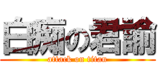 白痴の君諭 (attack on titan)