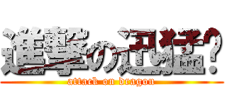 進撃の迅猛龙 (attack on dragon)