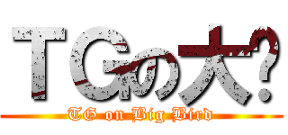 ＴＧの大鸟 (TG on Big Bird)