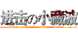 进击の小藏波 (attack on Small reservoir wave     )
