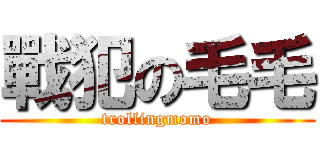 戰犯の毛毛 (trollingmomo)