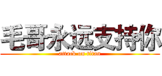 毛哥永远支持你 (attack on titan)