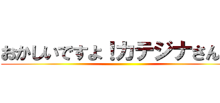 おかしいですよ！カテジナさん！！ ()