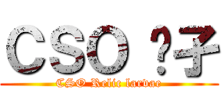 ＣＳＯ 孓孑 (CSO Relic larvae)