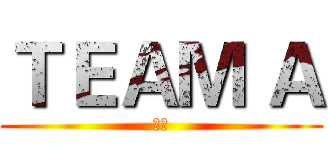 ＴＥＡＭ Ａ (天毅)