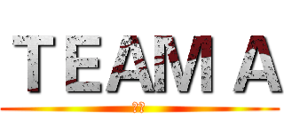 ＴＥＡＭ Ａ (天毅)