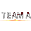 ＴＥＡＭ Ａ (天毅)