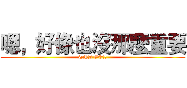 嗯，好像也沒那麼重要 (TMD OO!!)