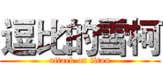 逗比的雪柯 (attack on titan)