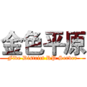 金色平原 (Five District RP Server)