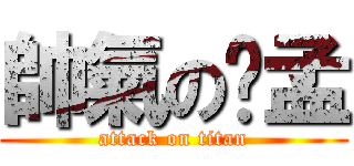 帥氣の憨孟 (attack on titan)