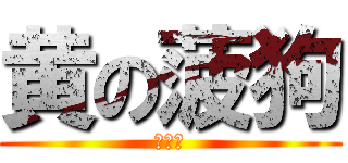 黄の菠狗 (脑瘫帝)