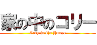 家の中のコリー (Cory in the House)