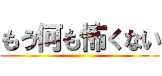 もう何も怖くない ()
