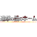 進撃の猫のホーム (attack on cats)