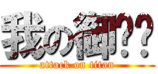 我の御姊姊 (attack on titan)