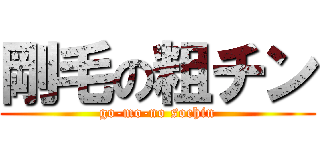 剛毛の粗チン (go-mo-no sochin)