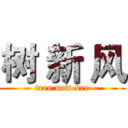 树 新 风 (tree new bee)
