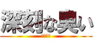 深刻な臭い (大麻発見)