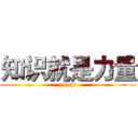 知识就是力量 (zhishi)