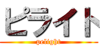 ピライト (pelight)