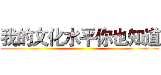 我的文化水平你也知道 ()