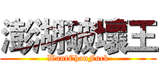 澎湖破壞王 (WantChanFuck)