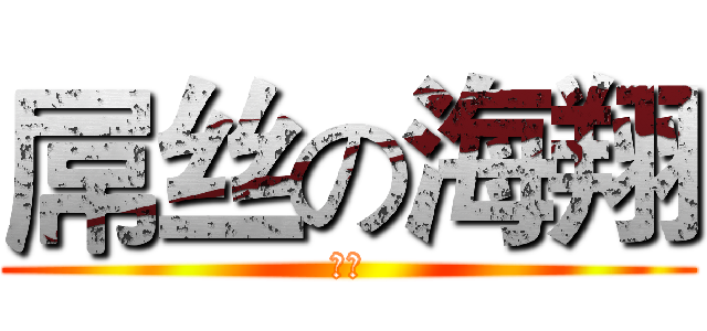 屌丝の海翔 (傻吊)