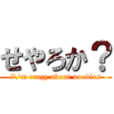 せやろか？ (i\'m crazy about noodles)
