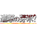 進撃の芽米醬 (attack on titan)