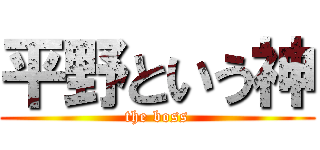 平野という神 (the boss)