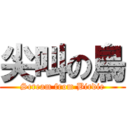 尖叫の鳥 (Scream from Birdie)