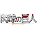 肉球の巨人 (paw on titan)