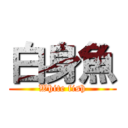 白身魚 (White fish)