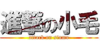 進撃の小毛 (attack on siumo)