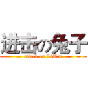 进击の兔子 (attack on LiMin)